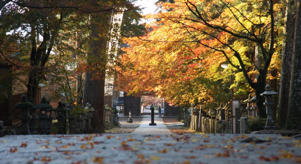 華厳寺紅葉写真01