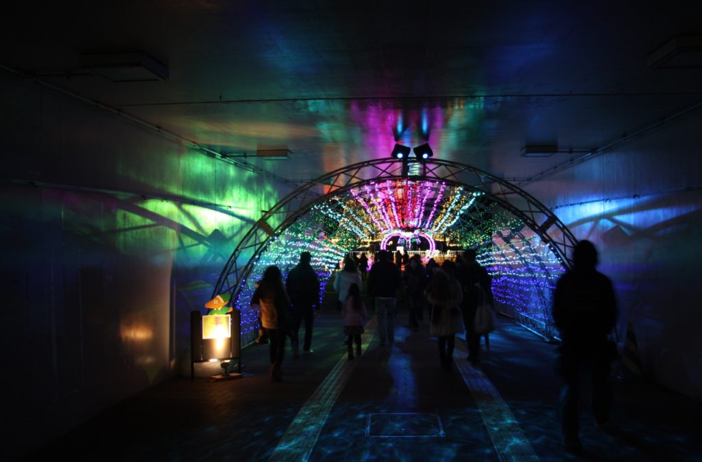 木曽三川公園イルミネーション写真04