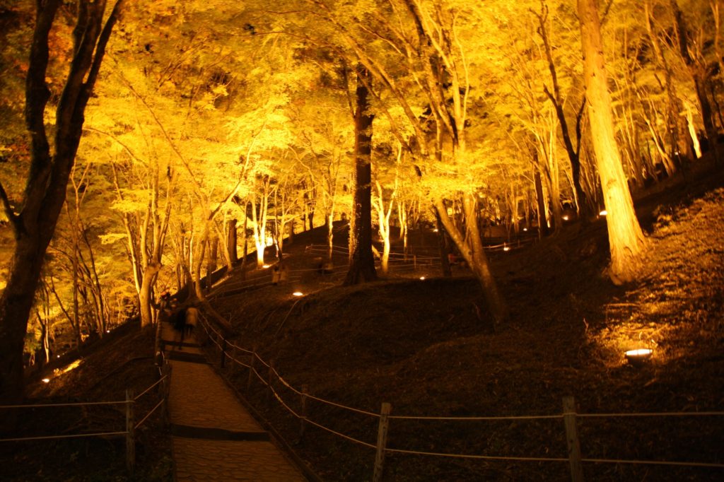 香嵐渓ライトアップ02