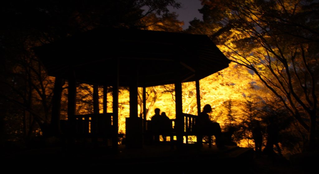 香嵐渓ライトアップ05