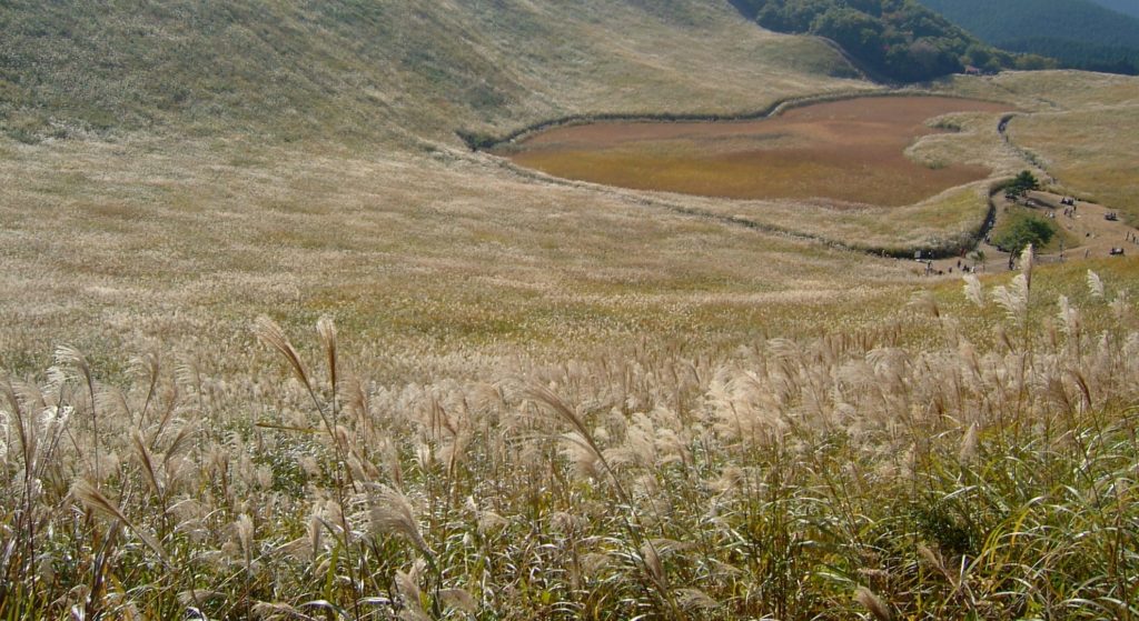 曽爾高原写真01