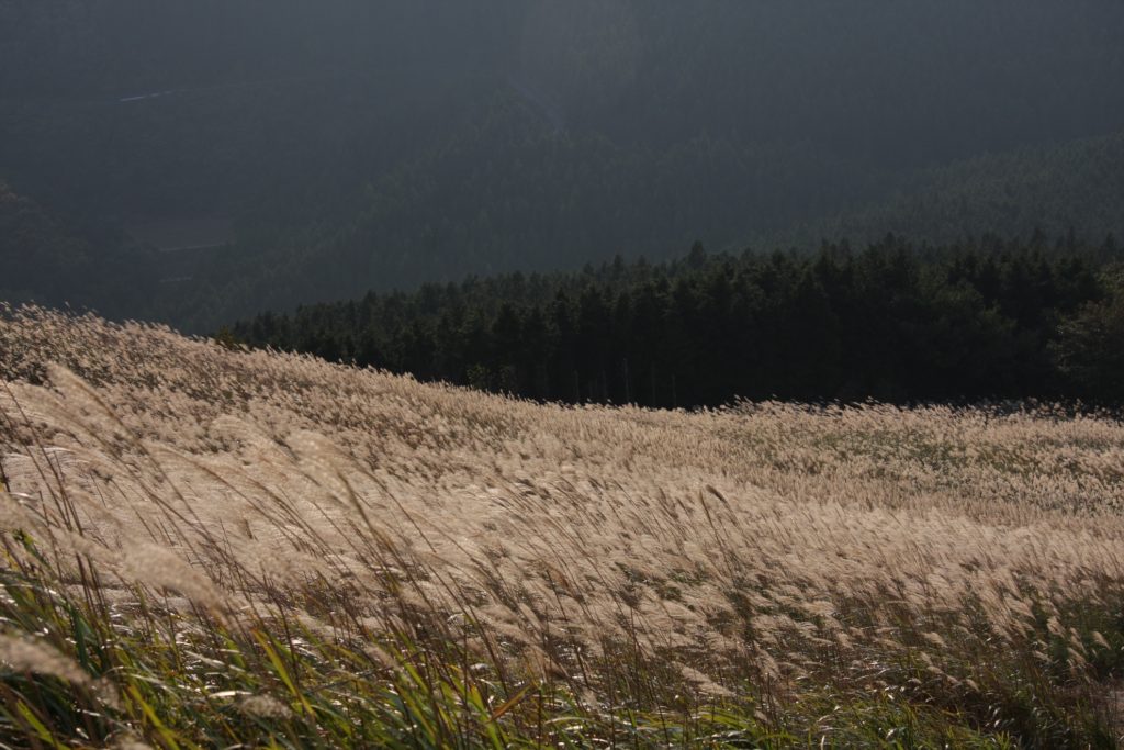 曽爾高原写真04