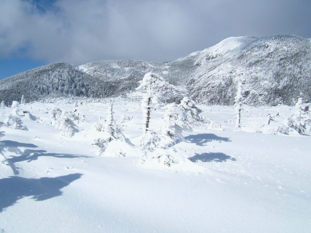 冬のおすすめ写真04