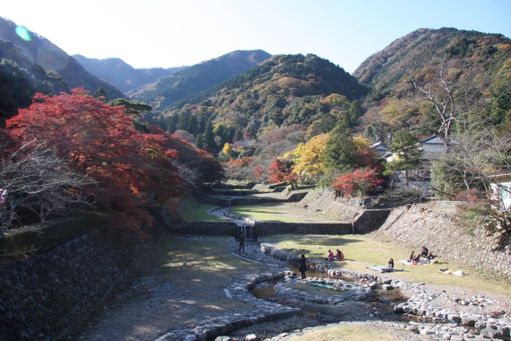 養老公園紅葉01