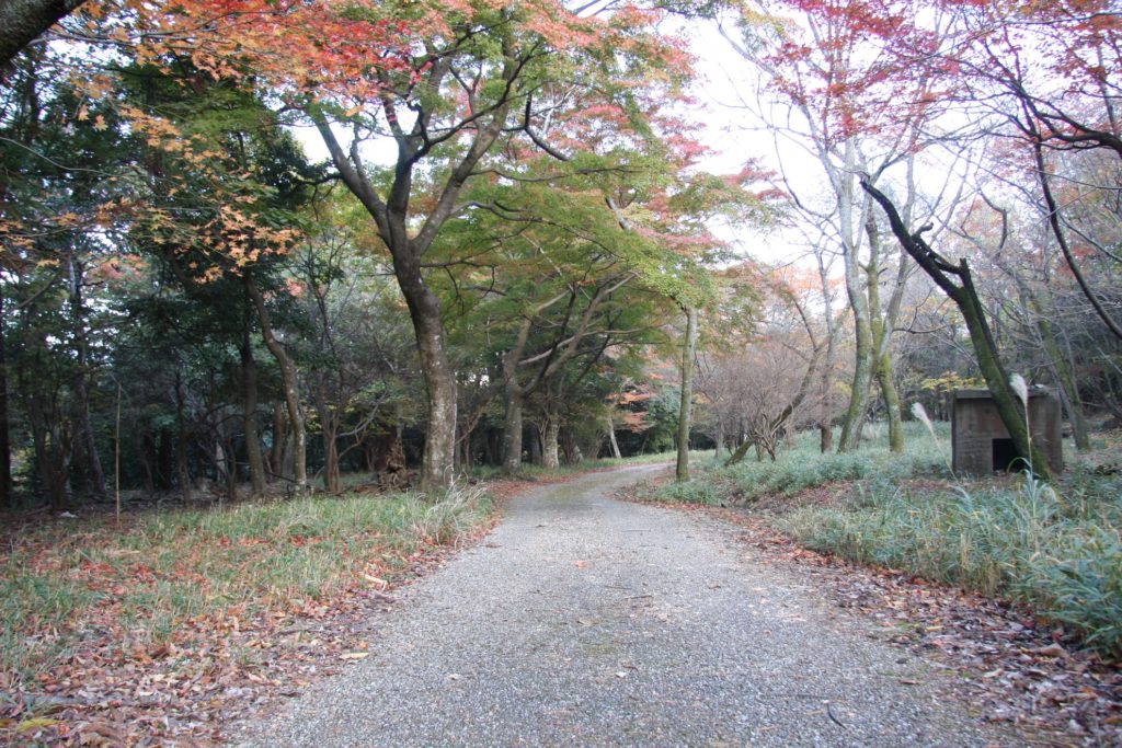 養老公園紅葉03
